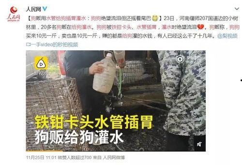 洛阳嵩县爆料事件视频最新,真相与争议交织 第3张 洛阳嵩县爆料事件视频最新,真相与争议交织 第3张